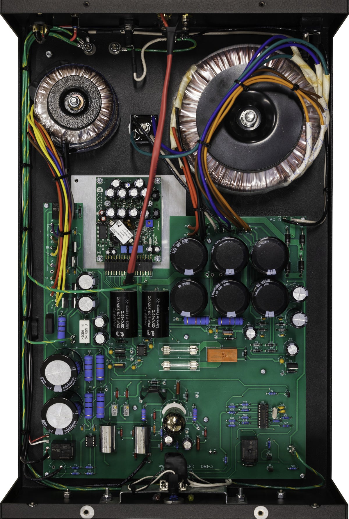 Rogue Audio DragoN Monoblocks (Pair)