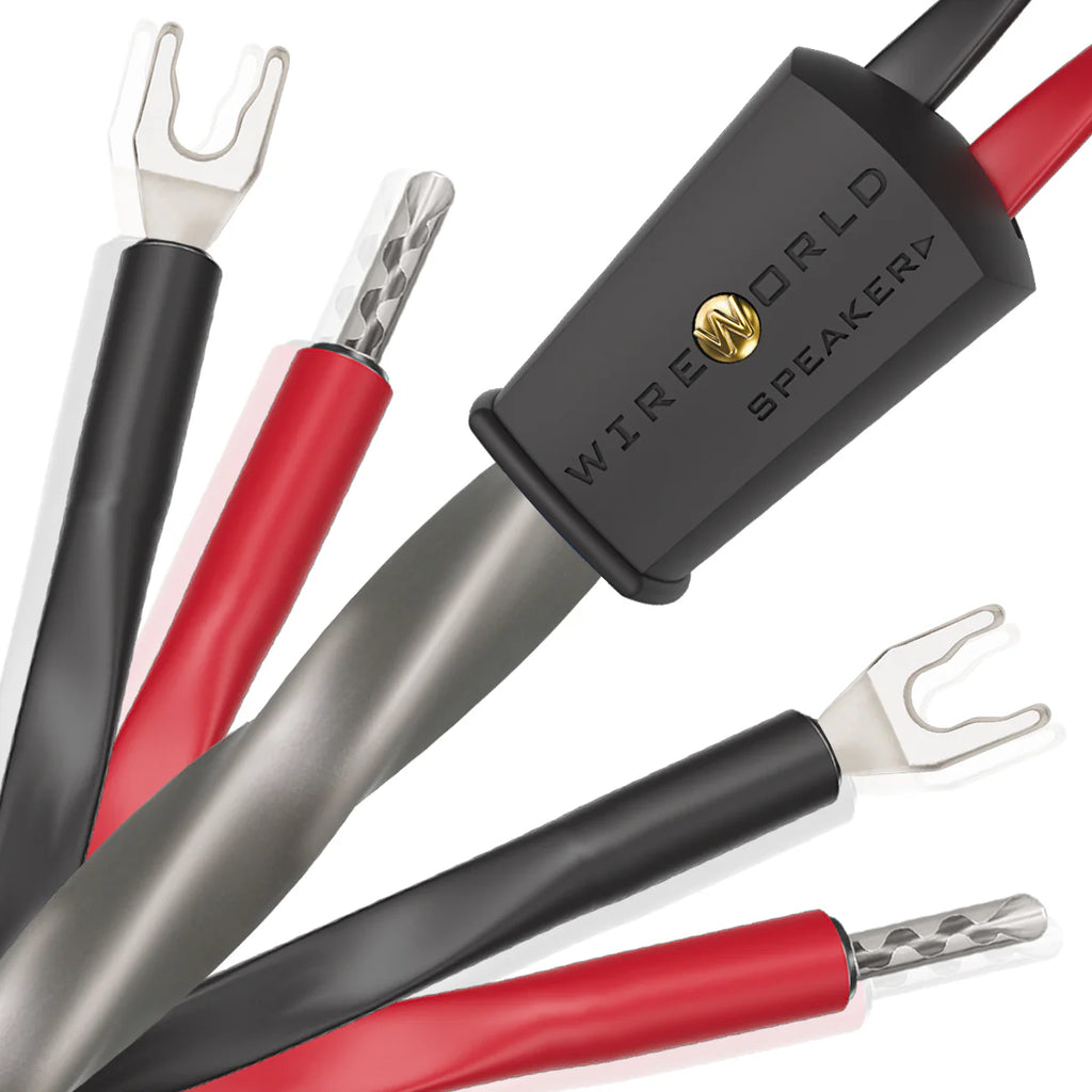 Wireworld Equinox® 10 Speaker Cable