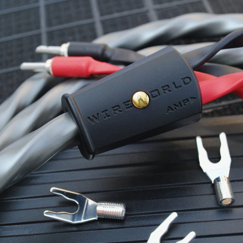 Wireworld Equinox® 10 Speaker Cable