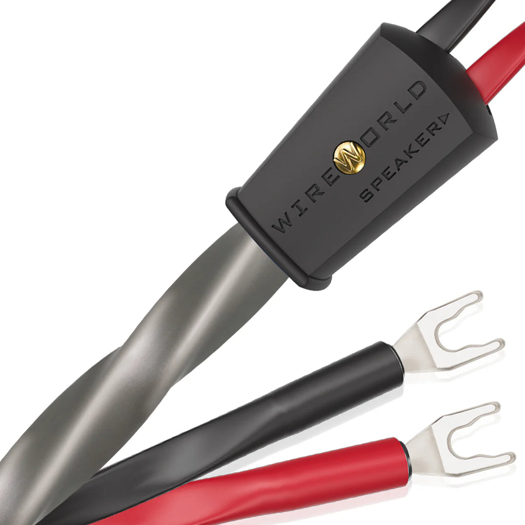 Wireworld Equinox® 10 Speaker Cable