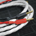 Wireworld Luna™ 10 Speaker Cable