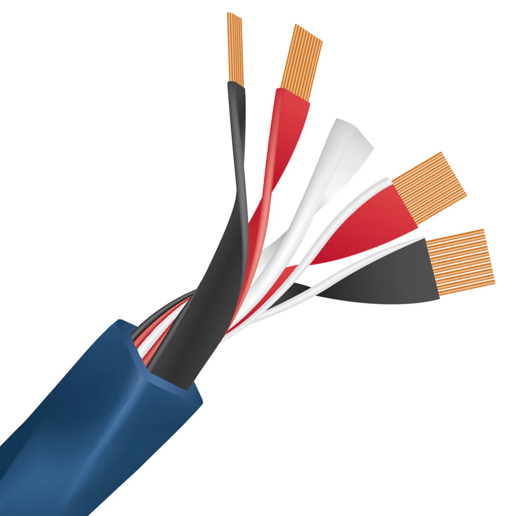 Wireworld Oasis® 10 Speaker Cable