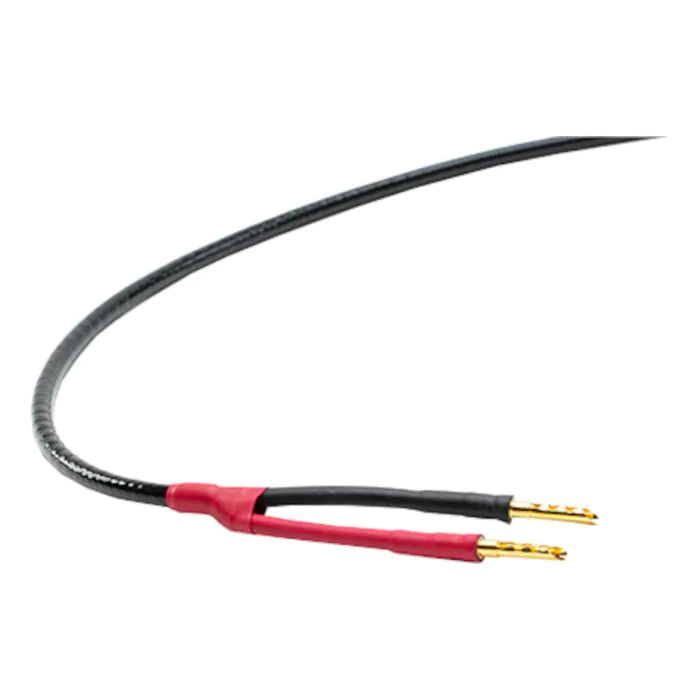 Straight Wire Pro 12 Special (10ft Pair w/ Banana Terminations)