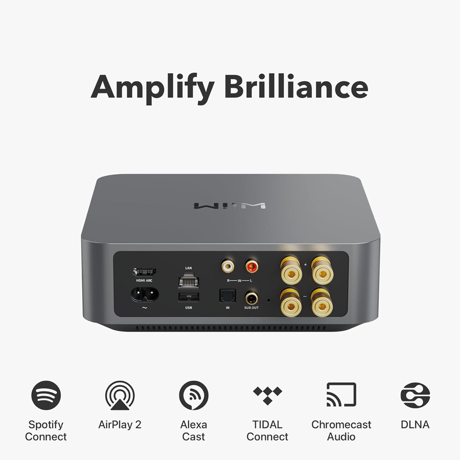 WiiM Amp - Gray